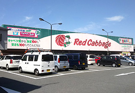 レッドキャベツ 友丘店舗
